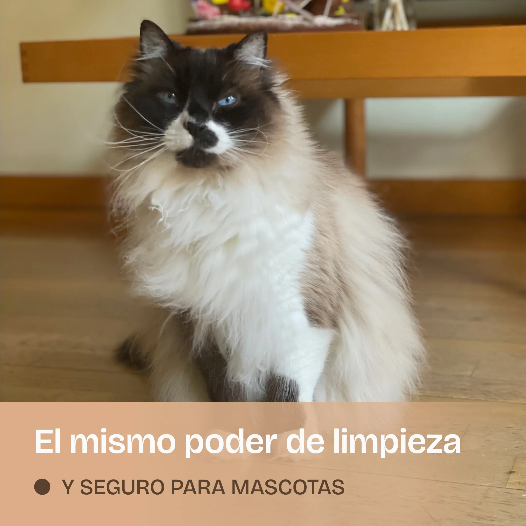 Imagen del producto 5